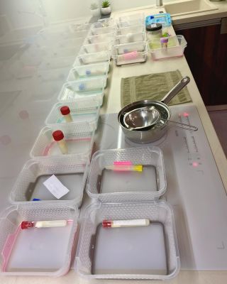 And here we go!❤️ Last group of MM preserved before Christmas ✨🎄✨ In the next week I will have many photos to share thanks...